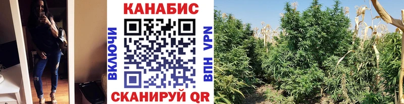 Канабис семена  купить наркоту  Лиски 